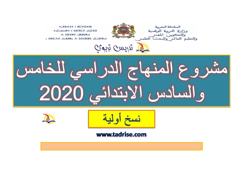 مشروع المنهاج الدراسي للخامس والسادس الابتدائي 2020: نسخة أولية