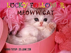 @30 june: Lucky Followers by Meoww Cat