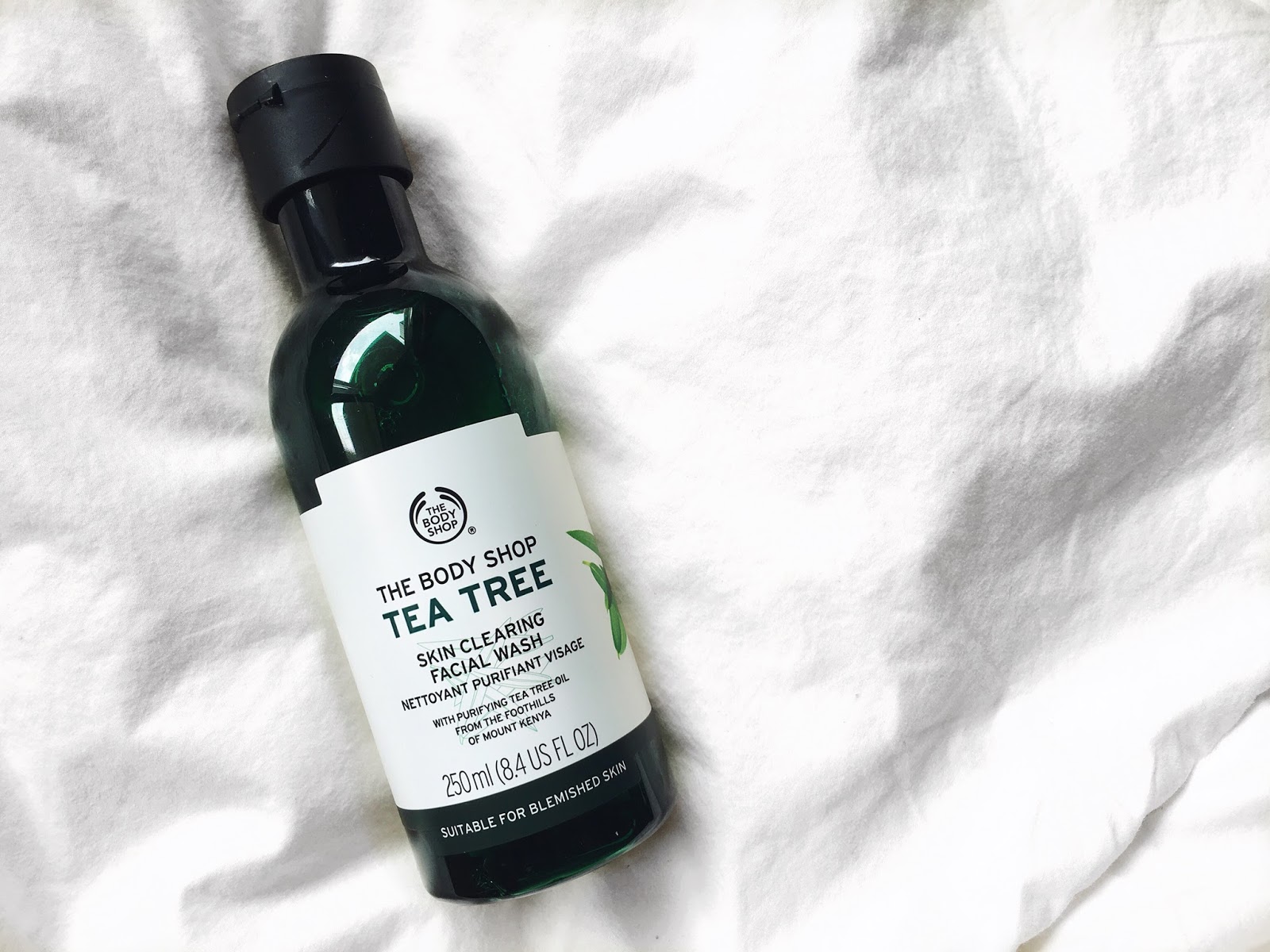 Skincare My Morning Skincare Routine + The Body Shop Skincare Review
