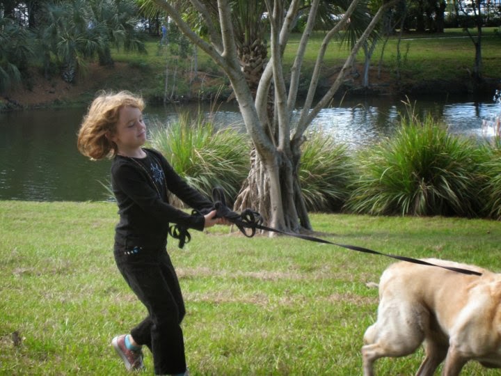 Eugene Flinn South Dade Updates A dog park for Pinecrest? Absolutely