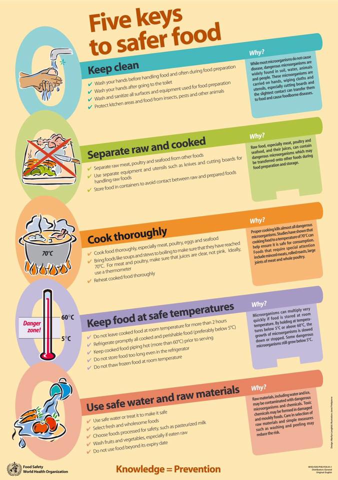Health Is Wealth Five Keys To Safer Food health-is-wealth-five-keys-to-safer-food