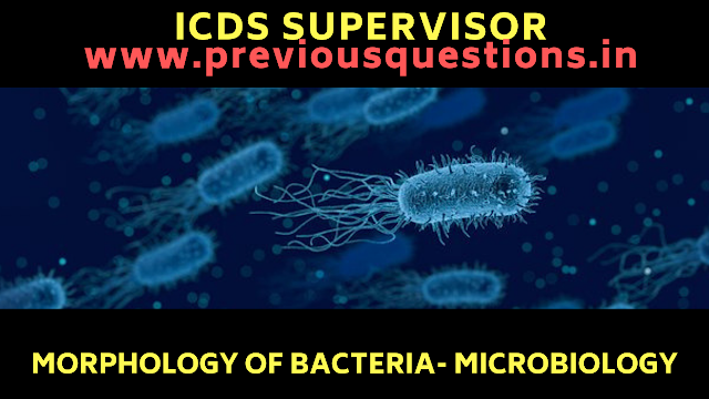 Morphology of Bacteria- Microbiology
