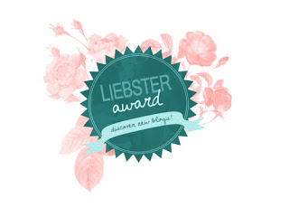 2 nomina premio liebster