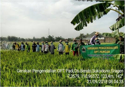 BATI TUUD SUKODONO DAMPINGI UPSUS DAMPINGAN GERDAL OPT