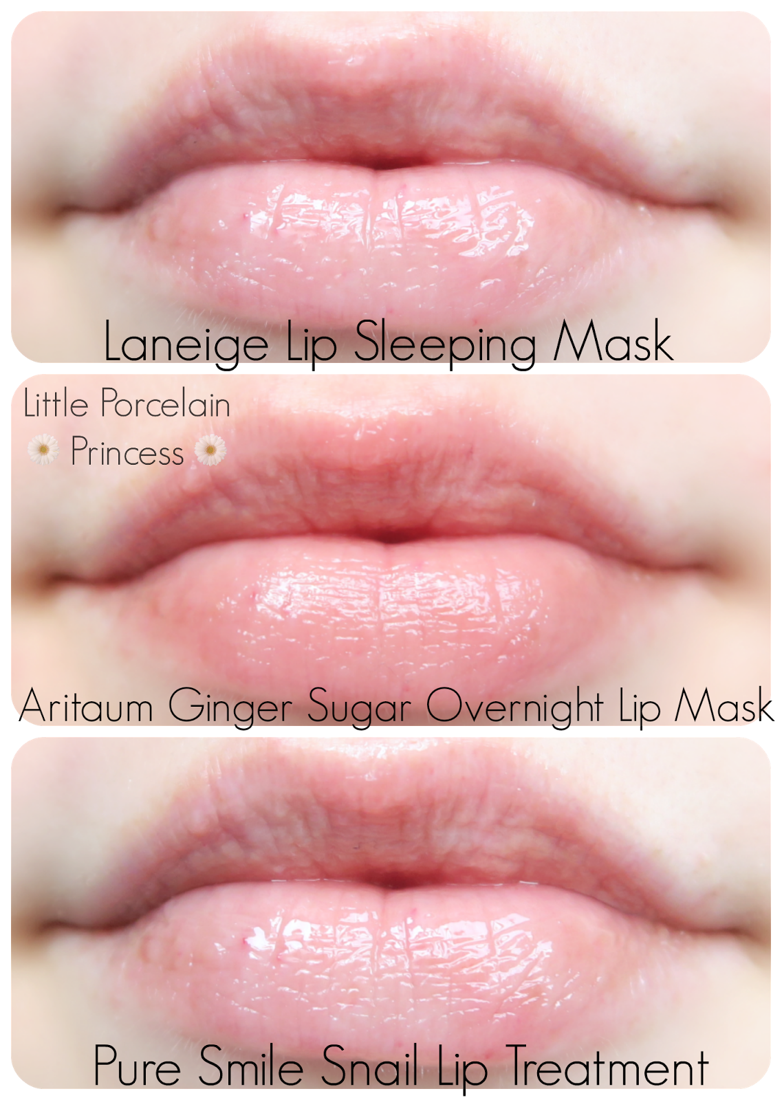 Little Porcelain Princess Review Overnight Lip Mask Comparison