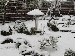 雪の神苑ぼたん庭園