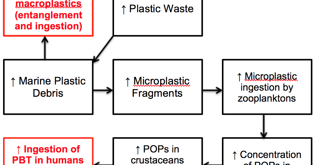 Microplastics The Silent Killer In The Atlantic And Your Home - ow0vxvu