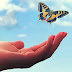 "La Mariposa" - Cuentos para motivar tu vida