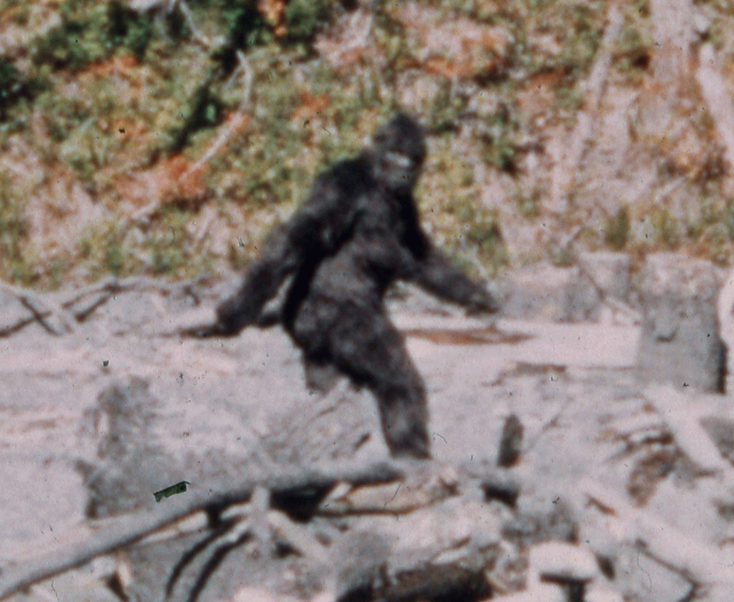 ARRA News Service Amazon One of the Biggest of Bigfoot Cronyism