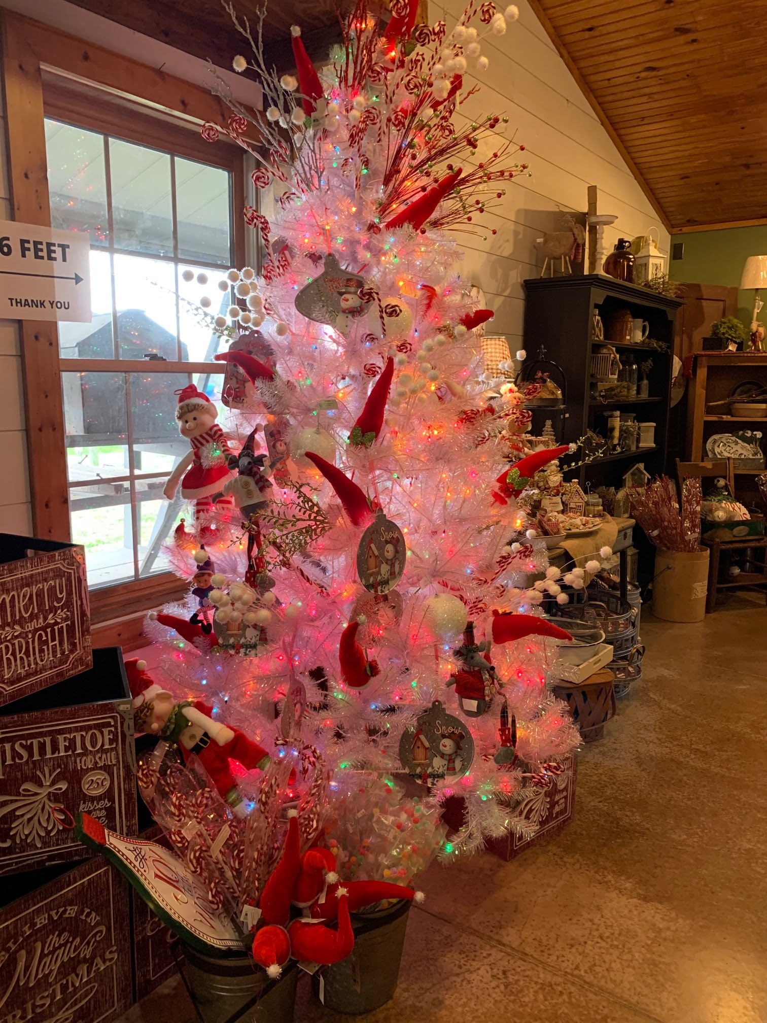 Christmas Tree Trends for 2020 Christmas Tree Lane