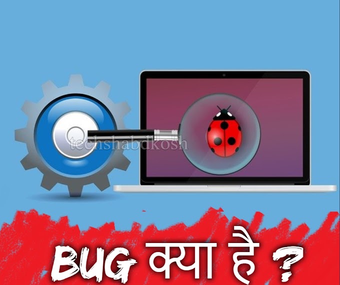 BUG - meaning in hindi