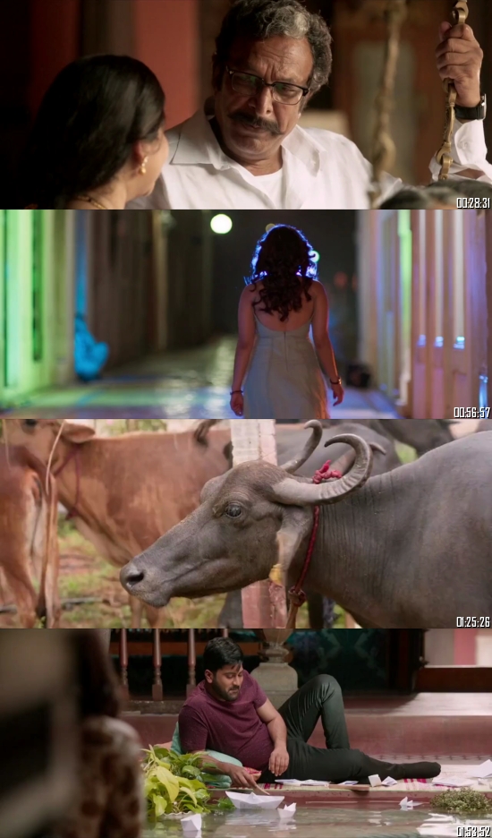 Mahanubhavudu 2017 UNCUT HDRip 720p 480p Dual Audio Hindi Full Movie Download