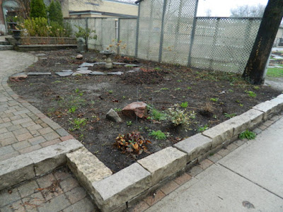 Summerhill Toronto New Front Garden Makeover Before by Paul Jung Gardening Services--a Toronto Gardening Services Company Summerhill Toronto New Front Garden Makeover Before by Paul Jung Gardening Services--a Toronto Gardening Services Company
