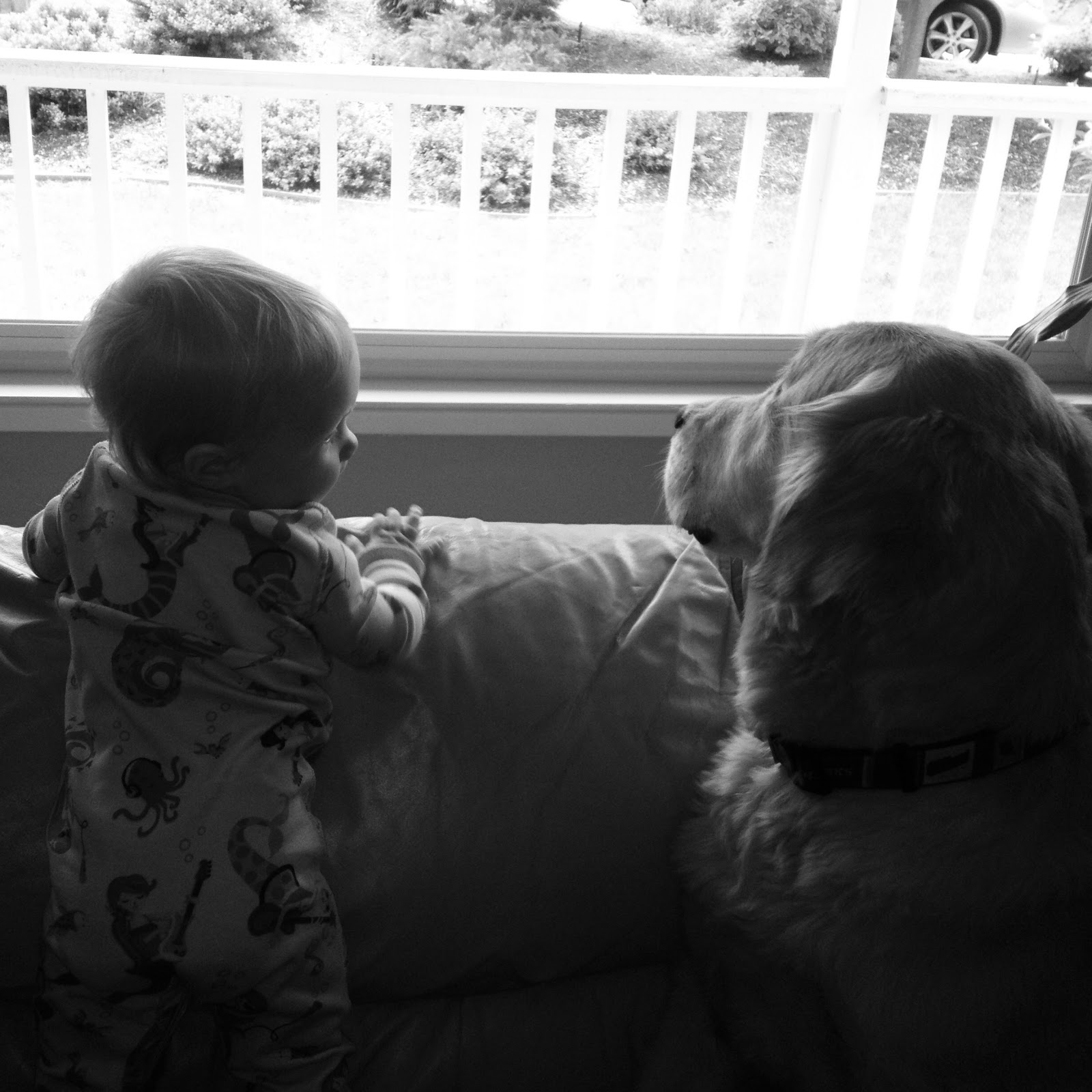 Sick Stalker Torments Barristers Deaf Child 73 - 9rf8c5v