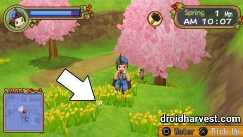 How to Get Flowers in Harvest Moon: Hero of Leaf Valley