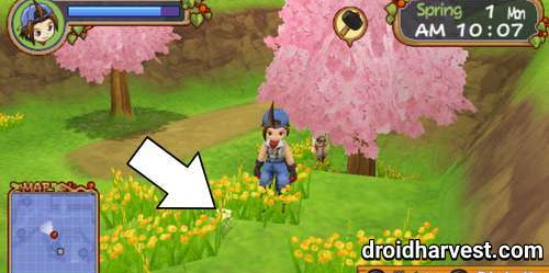 How to Get Flowers in Harvest Moon: Hero of Leaf Valley