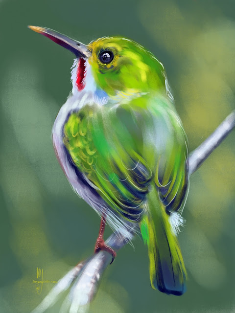 Cuban Tody bird painting by Artmagenta