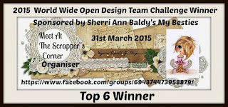2015 World Wide Open Design Team Challenge