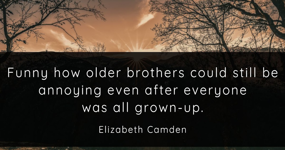13 Quotes On Older Brother - QUOTEISH
