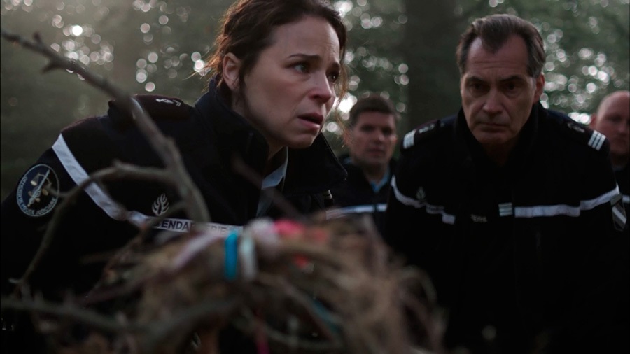 De Bem Com a Leitura O Bosque Original Netflix [Resenha]