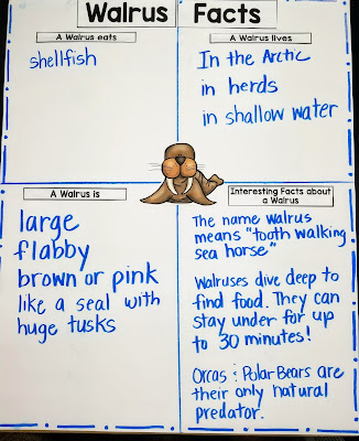 Learning ALL ABOUT the ARCTIC will be a student favorite in your kindergarten, first grade, or preschool classroom. As part of our unit studies these lesson plans guide you through science experiments, book connections, animal research activities, and writing prompts to make the most of your investigations into the arctic region, polar bears, snowy owls, walruses and more!