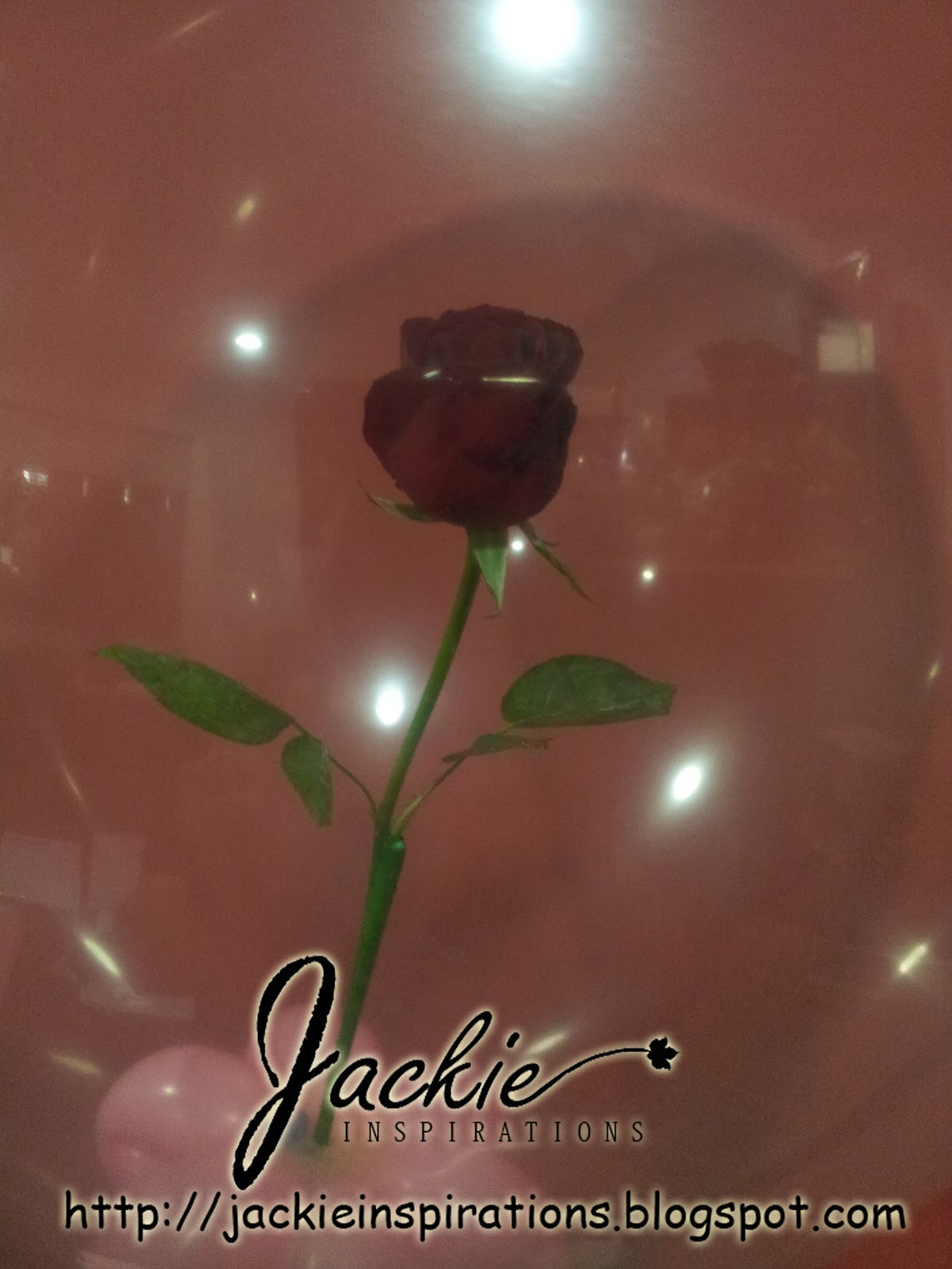 Balloon decorations for weddings, birthday parties, balloon sculptures