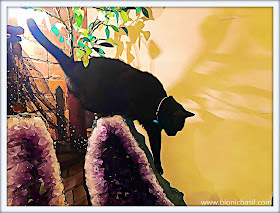 Parsley Caturday Art @BionicBasil® Pet Peeves #23 Oil Painting