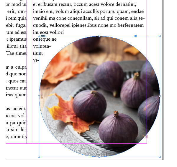 InDesign basics Wrap Text around Shapes and images Hello Bananas!