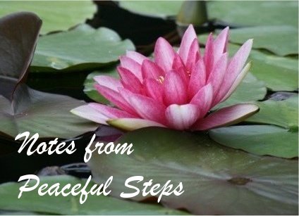 Notes from Peaceful Steps