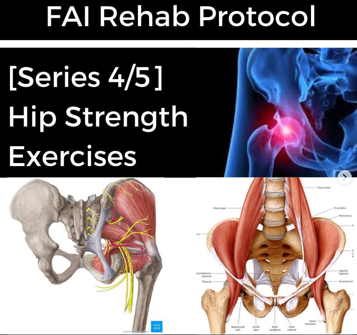 FAI Rehab Protocol Part 4 Hip Strength Exercises Modern Manual