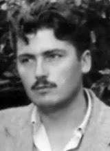 paun-petronijevic