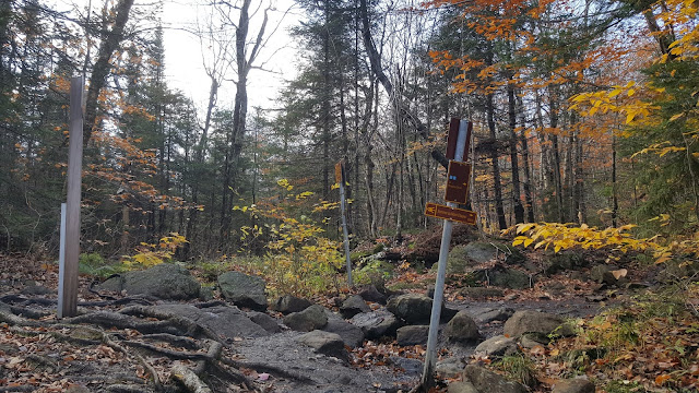 Croisement pour la boucle du mont Chauve