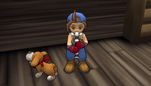 How to Train Your Dog in Harvest Moon: Save the Homeland