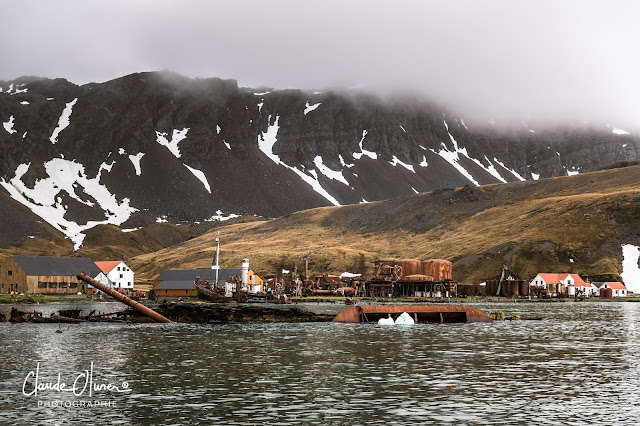 L'aventure merveilleuse en Antarctique ! Partie 3: Grytviken et les Orcades du Sud !