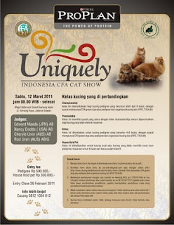 CFA cat show, indonesia cat show, Uniquely Indonesia CFA Cat Show, kontes kucing, lomba kucing
