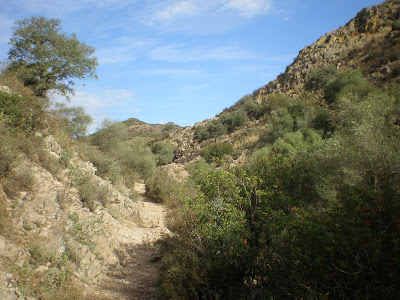 Ruta de Senderismo en el Arroyo Ventilla .