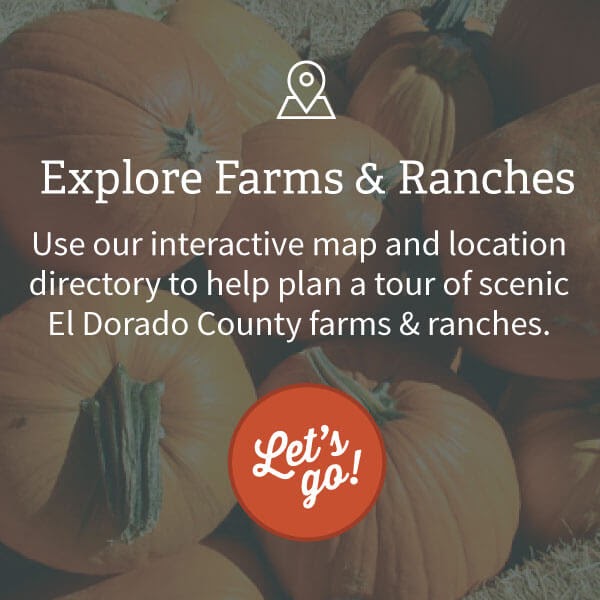 El Dorado County The Apple Hill Guide For FirstTime Visitors Amid The