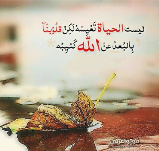 تحميل اجمل صور منوعة Miscellaneous اقوي العبارات مكتوبة بالصور