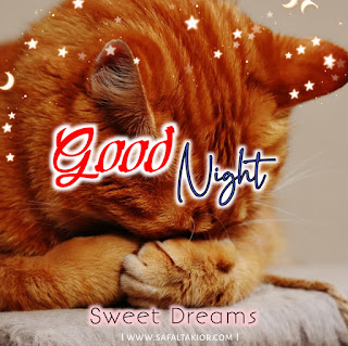 Good Night sleeping cute Images