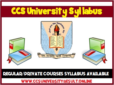 CCS University Syllabus 2020 CCSU Syllabus 2020