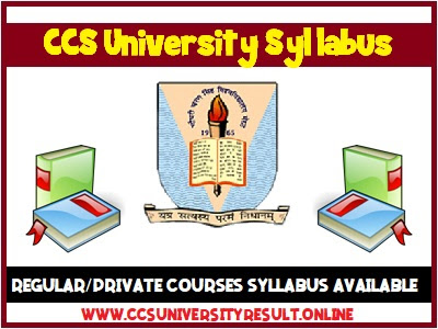 CCS University Syllabus 2020 CCSU Syllabus 2020