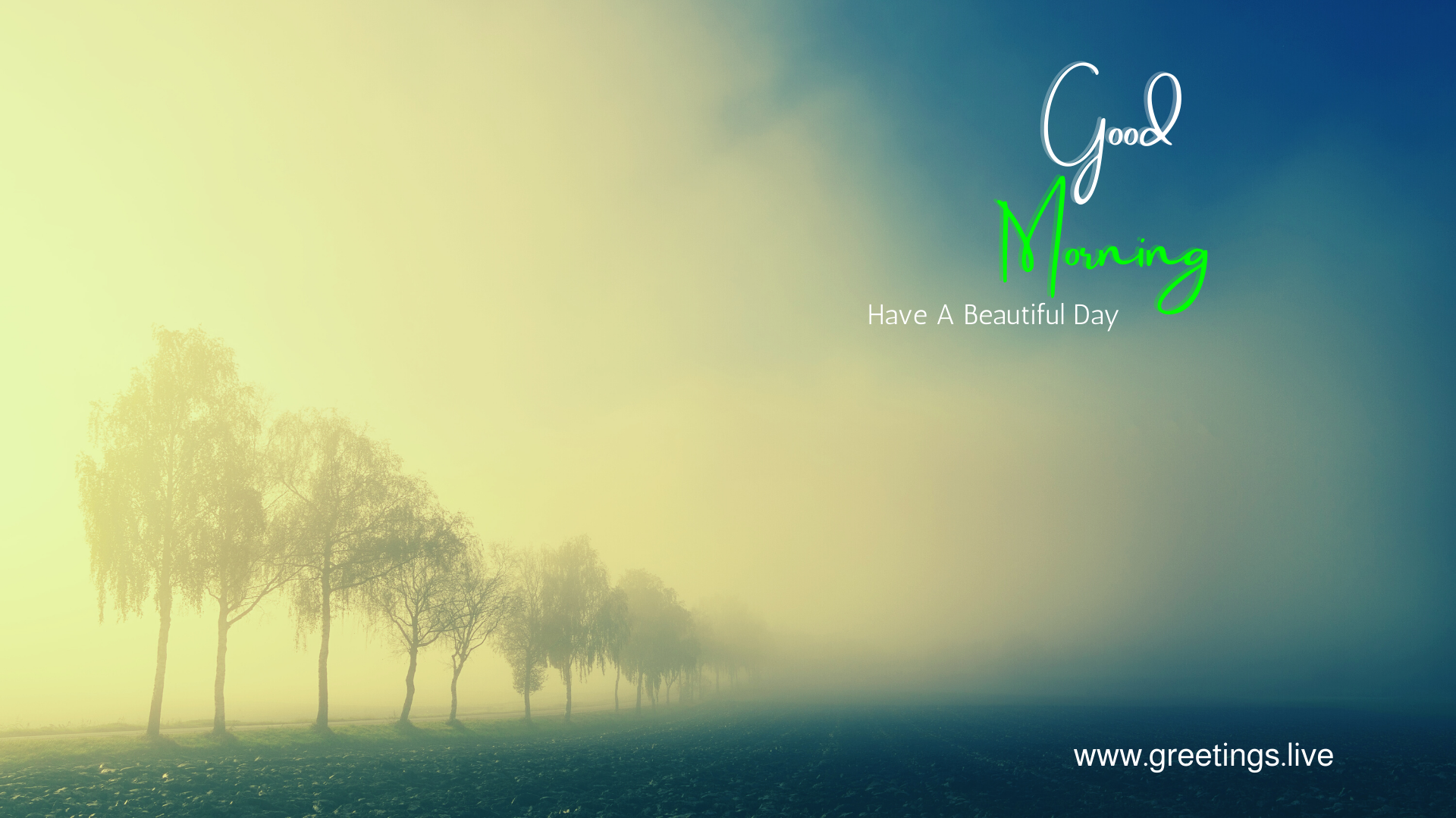 Greetings.Live*Free Daily Greetings Pictures Festival GIF Images