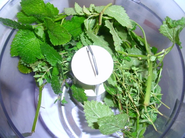 bunte-pusteblume: Zitronenmelisse- Melissenzucker