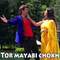Tor Mayabi Chokh Lyrics Besh Korechi Prem Korechi Bengali Lyrics tor mayabi chokh lyrics besh korechi