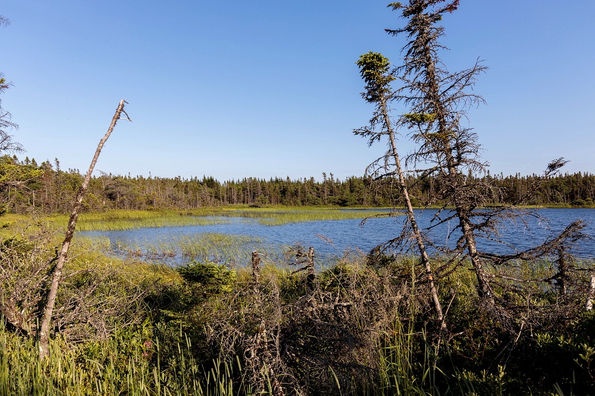 Bitstop Upper Three Corner Pond