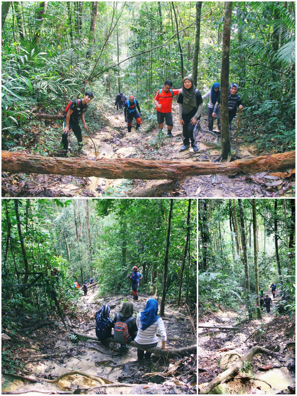 9 Jam Mendaki Gunung Angsi Bersama Anak Anak Yang Comel