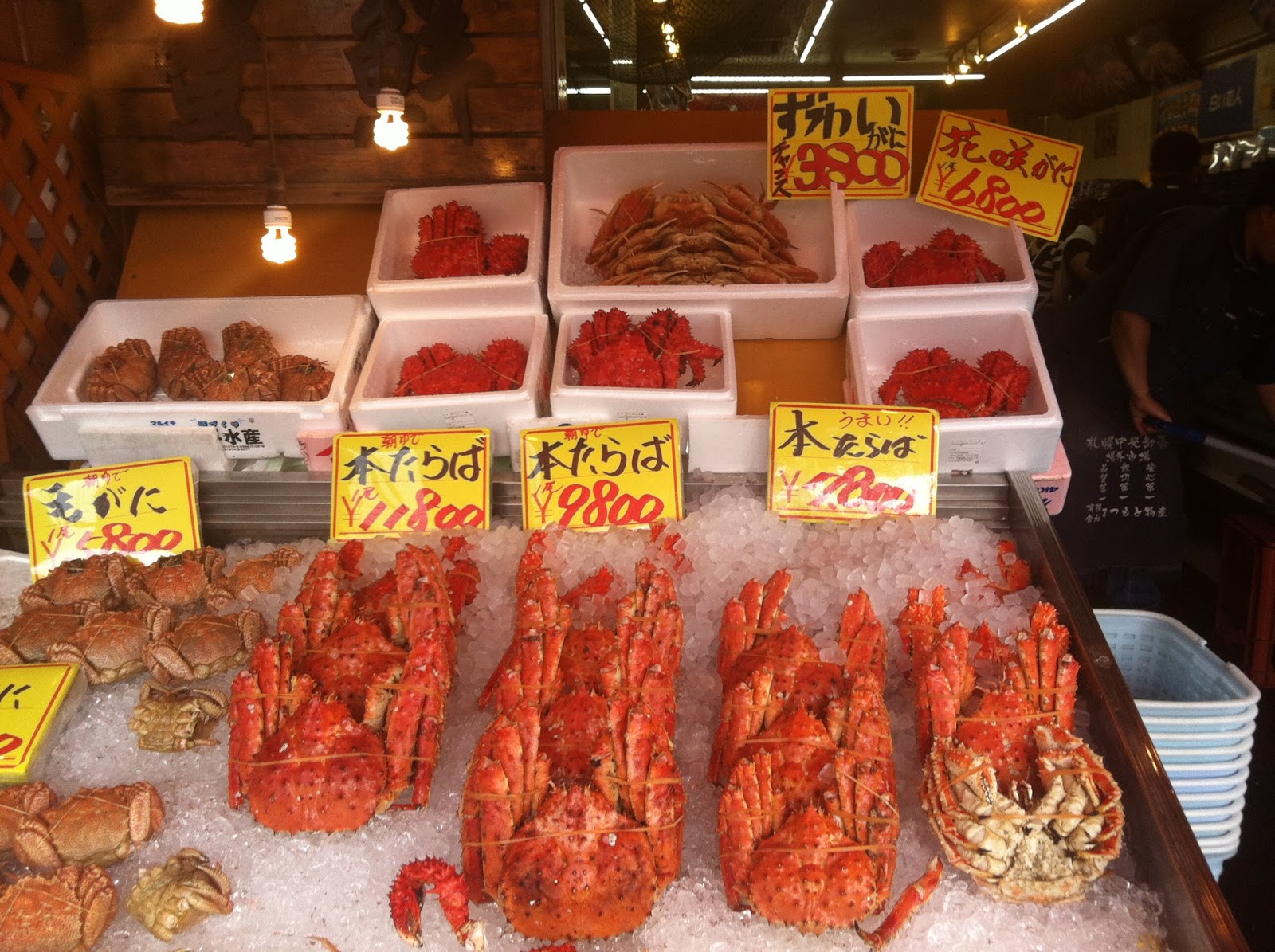 Yume's budget travel to Japan Nijo Fish Market & Curb market