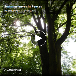  https://www.mixcloud.com/straatsalaat/summerleaves-in-peaces/