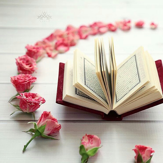 Quran HD Images Quran Images With Flowers Deeni Islamic Images