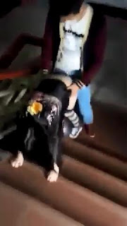 Sange berat langsung ngentot ditangga